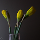 Image for article titled Panasonic GM1 Review: A Bite-Size Mirrorless Camera With Pedigree